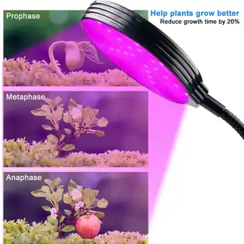 1/2/3 Vadovai Spektro LED Grow Light UV Augalų Lempos Fito lempos Kambarinių Gėlių Sodinukai Auga Palapinę Lauke Hydroponic Led Lempos Fito