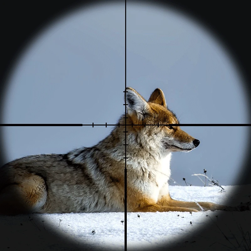DIANA 4.5-18X50 Aoe Riflescope Reguliuojamas Green Red Dot Kryžiaus Medžioklės Šviesos Taktinis taikymo Sritis Tinklelis Optinis Šautuvas taikymo Sritis