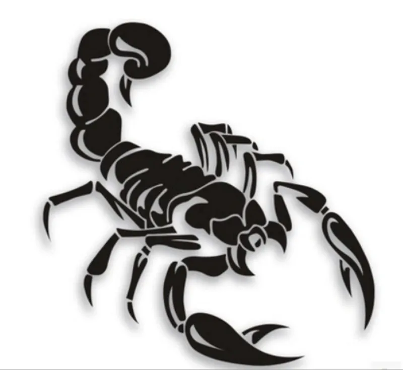 1Pcs Black Scorpion Kėbulo Atsarginio Rato Dangtis Lipdukai Racing Lipdukai Apdaila