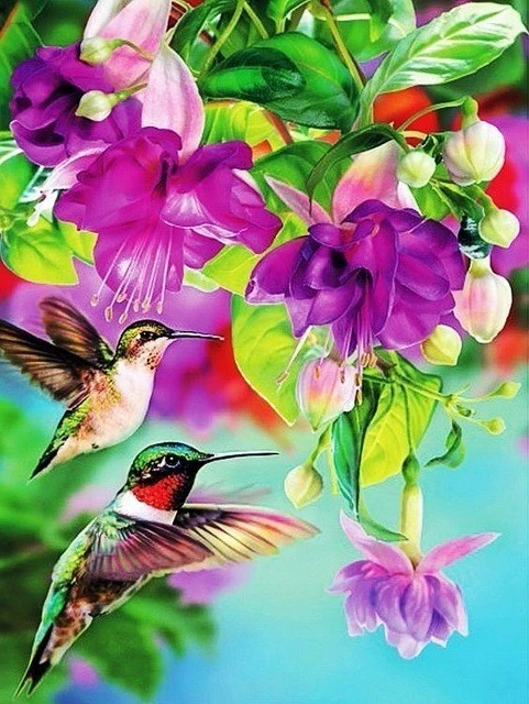 Paukščiai ir gėlės Serijos 