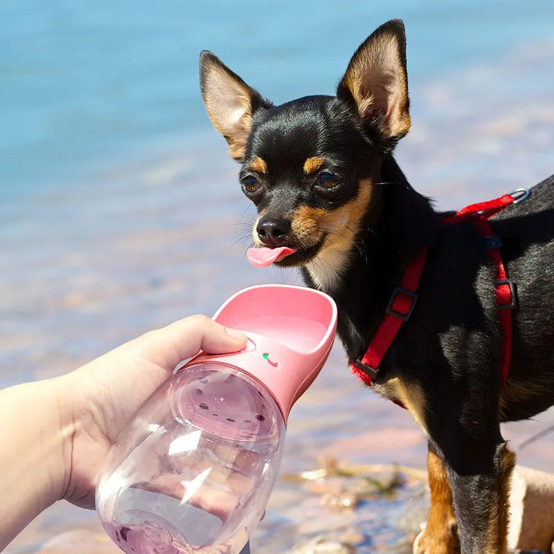 350ml/550ml Nešiojamas Šunų Vandens Butelis BPA Free Kelionės Šuniukas Katės vandens rezervuarą Lauko Pet Vandens Dozatorius Tiektuvą, skirtą Šunims, Katėms