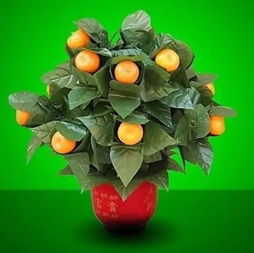 10 Žydi Apelsinai - Nuotolinio Valdymo (,Baterijos Versija) Magijos Triukų Scenoje Pasirodyti Magia Šalis Vestuvių Iliuzija Gudrybė Rekvizitai
