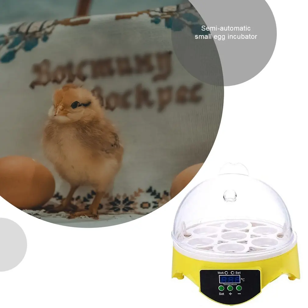 7 Kiaušinių Inkubatorius Paukščių Kiaušinių Inkubatorius, Pusiau automatinė Miniatiūriniai Kiaušinių Inkubatorius Balandžių Namų Inkubatorius
