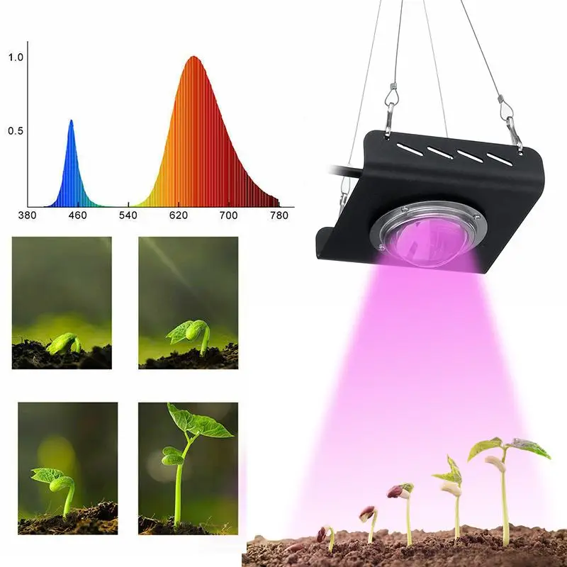 4000 K COB LED Grow Light Visą Spektrą 380-800nm 144 LED Grow lempa Vandeniui patalpų lauko Hydroponic Augimo Lempos