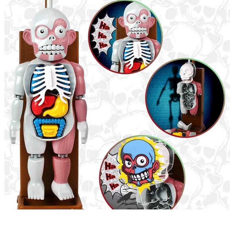 Helovinas Sudėtinga Pokštas Žaislas Naujovė skeletas Modeliavimas Žmogaus Organų 3D Galvosūkiai Surinkti Baisu Žmogaus Kūno Modelis Žaislai