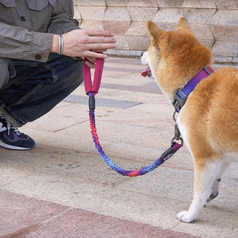 Šuns pavadėlio veikia vaikščioti traukinio didelių augintiniai Pavadėlio Mados Nailono elastingumą, saugos virvės Švino virvę, vidutinių ir didelių šunų