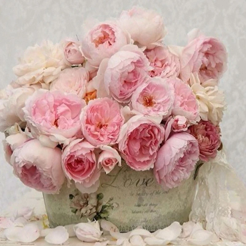 Pink peony gėlės Diamond Mazayka 