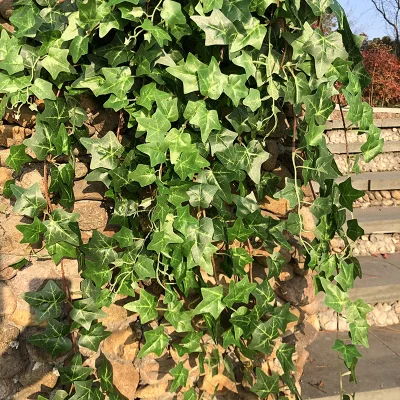 180CM Dirbtinis Gebenės Lapų augalų žaliosios dirbtiniais vynuogių arch Vestuvių Sodo dekoro netikrą lapai Rotango Sienos String Namų Šaliai Dekoro
