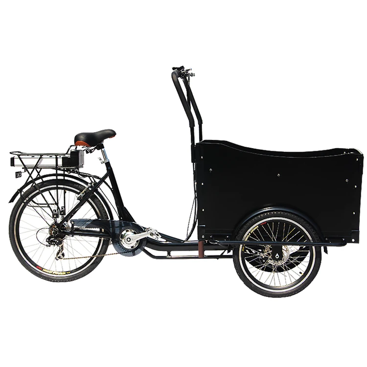 Gamyklos kaina krovinių dviratį elektros krovinių triratis šeimos iškylą krepšelį pardavimui