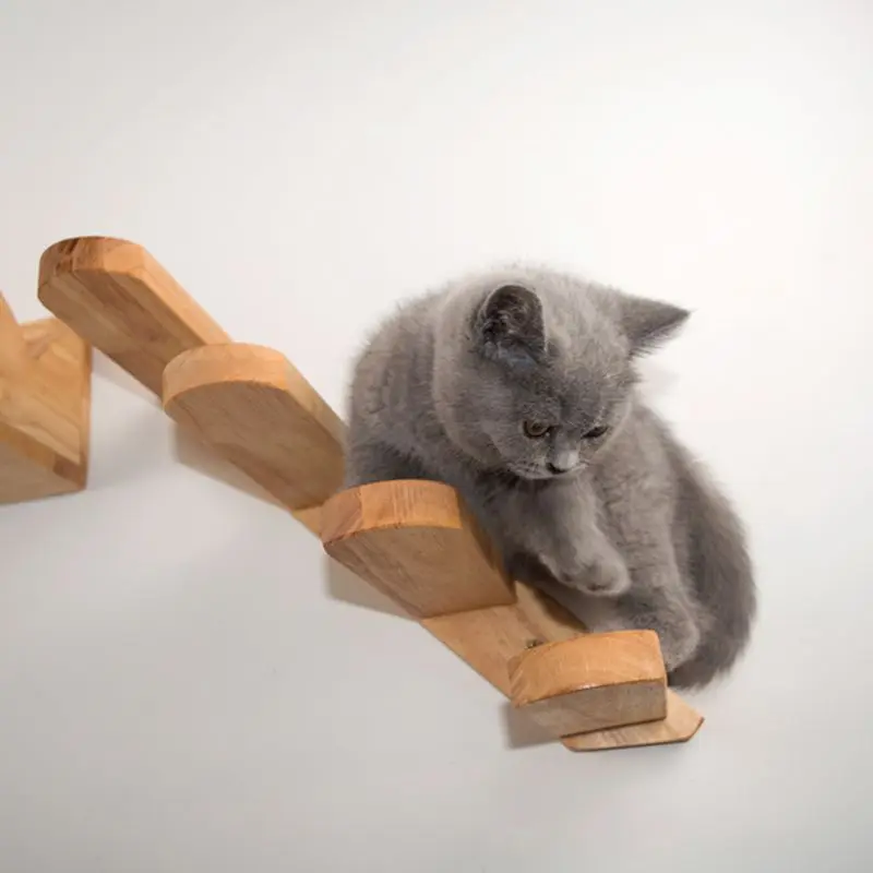 Sienos Montuojamas Katė Laipiojimo Laiptais Medienos Kačiukas Laiptai Katė Laipiojimo Rėmas Pet Baldai Žaisti Namuose