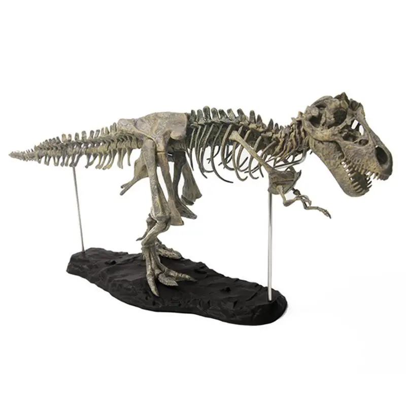 T Rex Tyrannosaurus Rex Skeleto Dinozaurų Žaislas Gyvūnų Modelio Kolektorius Super Dekoras