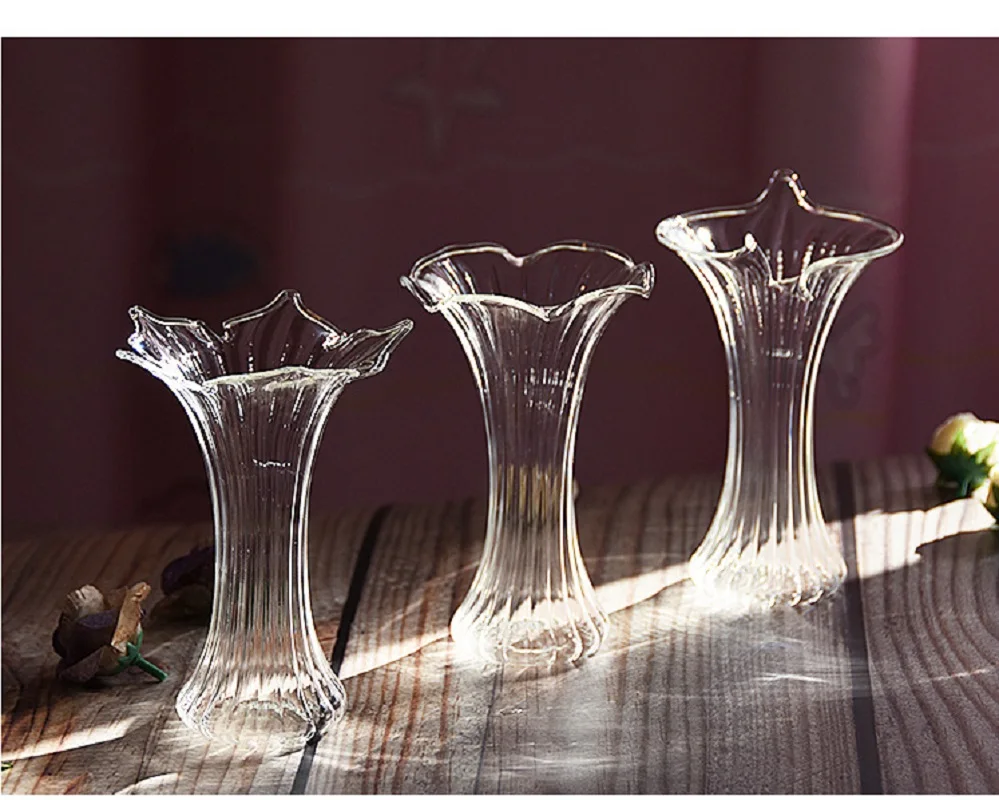 Ins rankų darbo Stiklo Vaza, Didelis Borosilikatinio Stiklo Amatų Augalai, Gėlės Hydroponic Konteinerių Vestuvių Namų Puošybai Miela Dovana