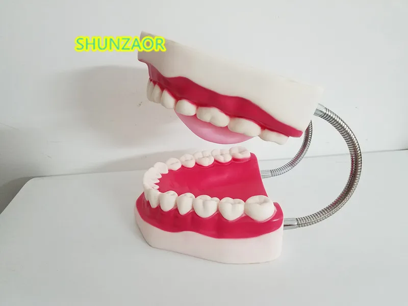 6 Kartus Plastikiniai dantys Modelis Dantų manikin Žmogaus Kilnojamojo Liežuvio, Burnos medicinos frasaco dantys