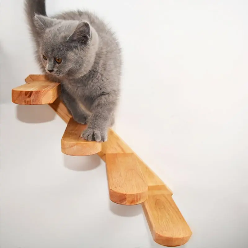 Sienos Montuojamas Katė Laipiojimo Laiptais Medienos Kačiukas Laiptai Katė Laipiojimo Rėmas Pet Baldai Žaisti Namuose