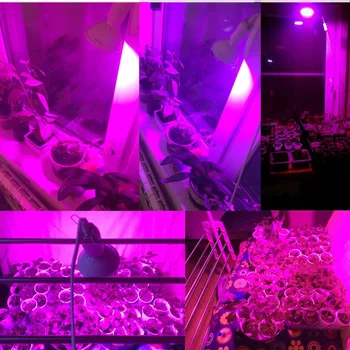 5vnt E27 200 LED Augalų Auga Šviesos Lempos Auga Šviesos Lemputės Hydroponics Sistemų Gėlių Patalpų Daržovių žalias namas