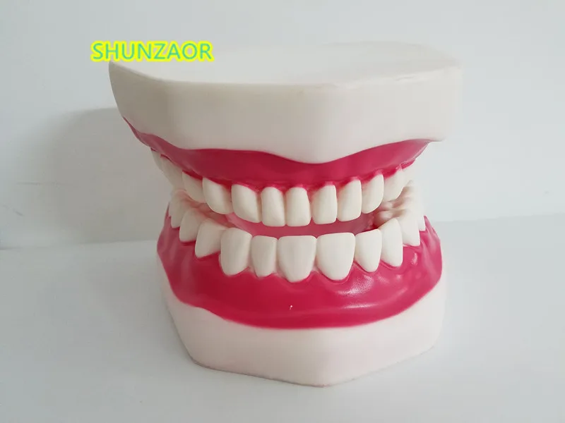 6 Kartus Plastikiniai dantys Modelis Dantų manikin Žmogaus Kilnojamojo Liežuvio, Burnos medicinos frasaco dantys