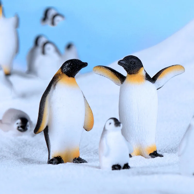 10VNT Pingvinas Poliariniai Antspaudas Statulėlės Gyvūnų Modelio, Pasakos Sodo Namų Dekoro Miniatiūriniai Ornamentas, Papuošimas 