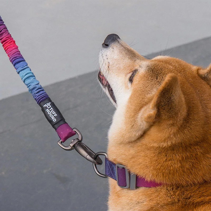 Šuns pavadėlio veikia vaikščioti traukinio didelių augintiniai Pavadėlio Mados Nailono elastingumą, saugos virvės Švino virvę, vidutinių ir didelių šunų