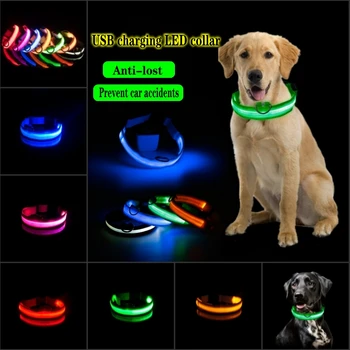 USB įkrovimo LED šuo šviesos naminių šunų antkaklis anti-lost naktį/vengti kačių ir šunų šuniukai automobilio avarijos mirksi šviesos apykaklės